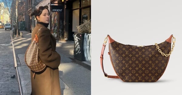 如何选择Louis Vuitton经典老花Loop？全面对比大号与小号尺寸及价格！-清美唯艺