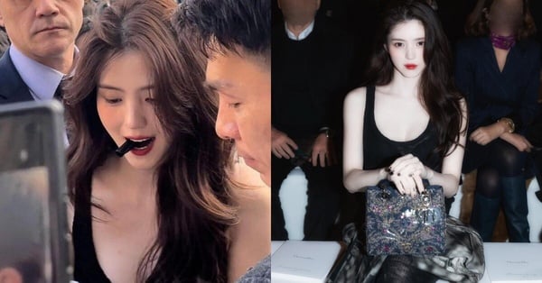 Dior：优雅与叛逆并存，韩韶禧点燃6款经典包的时尚热潮！-清美唯艺