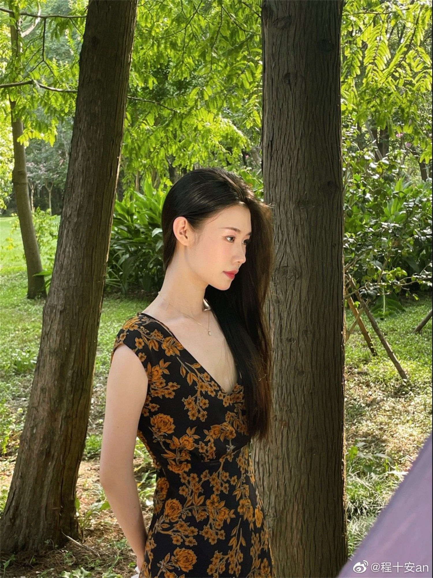 图片[2]-程十安的大学背景与受欢迎的原因解析-清美唯艺