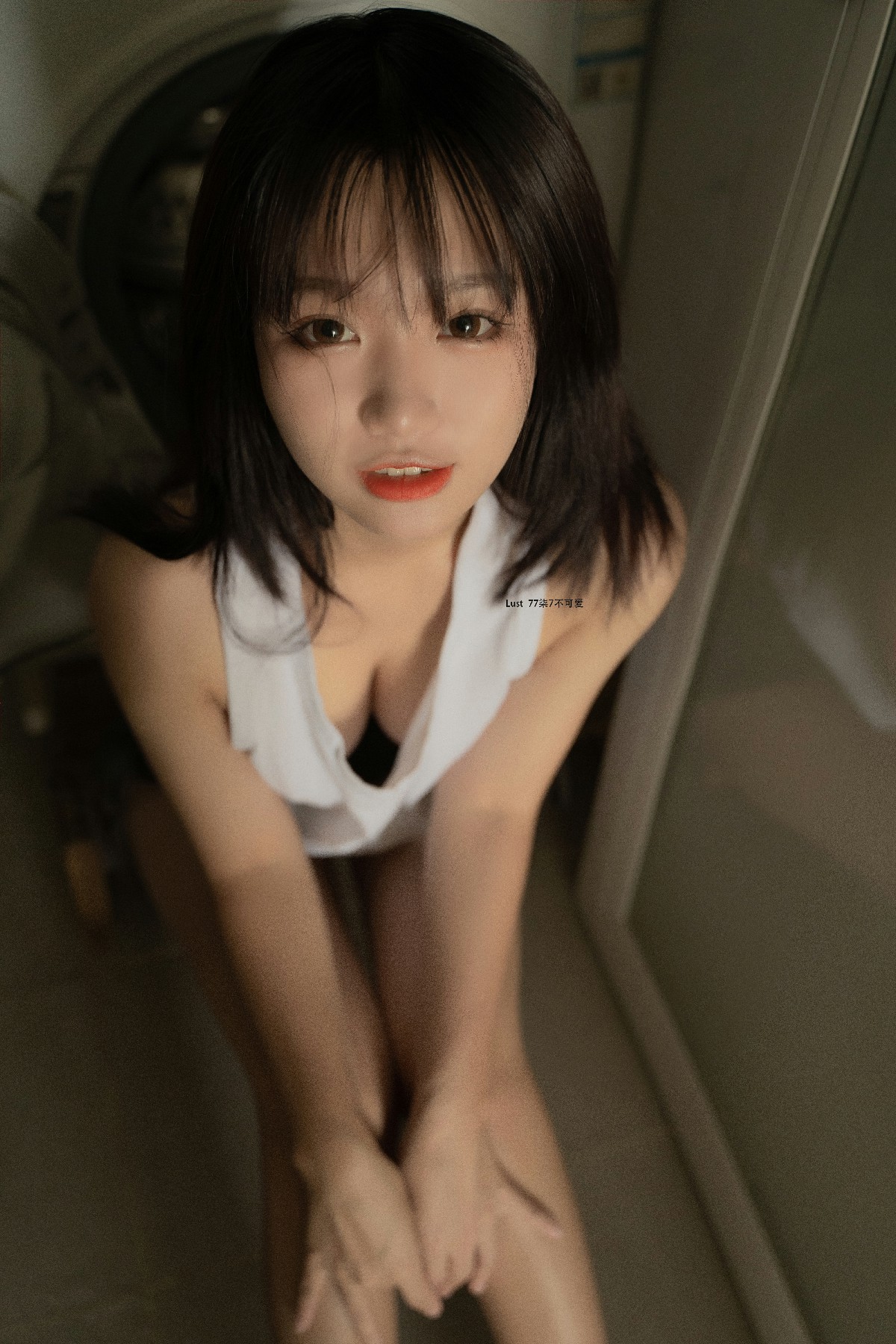 光影捕捉·柒柒萌态：56期摄影大赏，乖巧瞬间等你解锁！