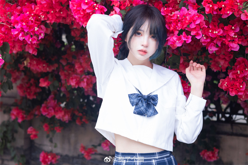 喵魅风情：疯猫SS美图赏析，邂逅你的梦中初恋-清美唯艺