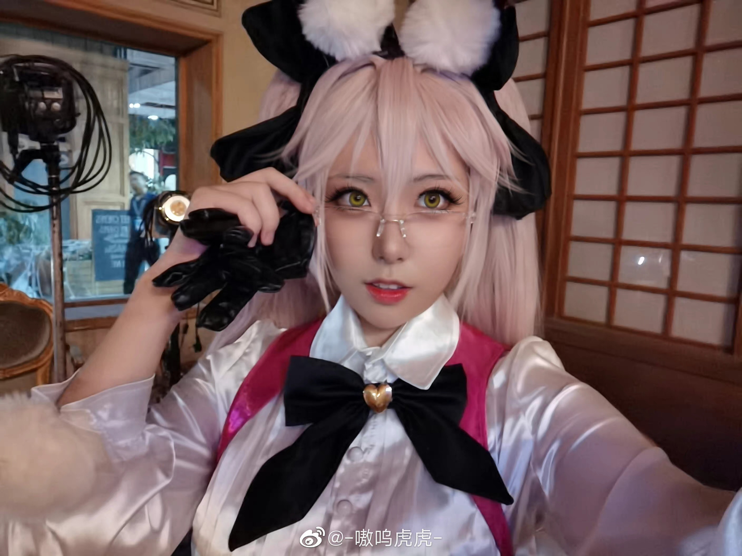 图片[2]-嗷呜虎虎：揭秘野生猫科动物的狮子与小猫咪的不同之处-清美唯艺