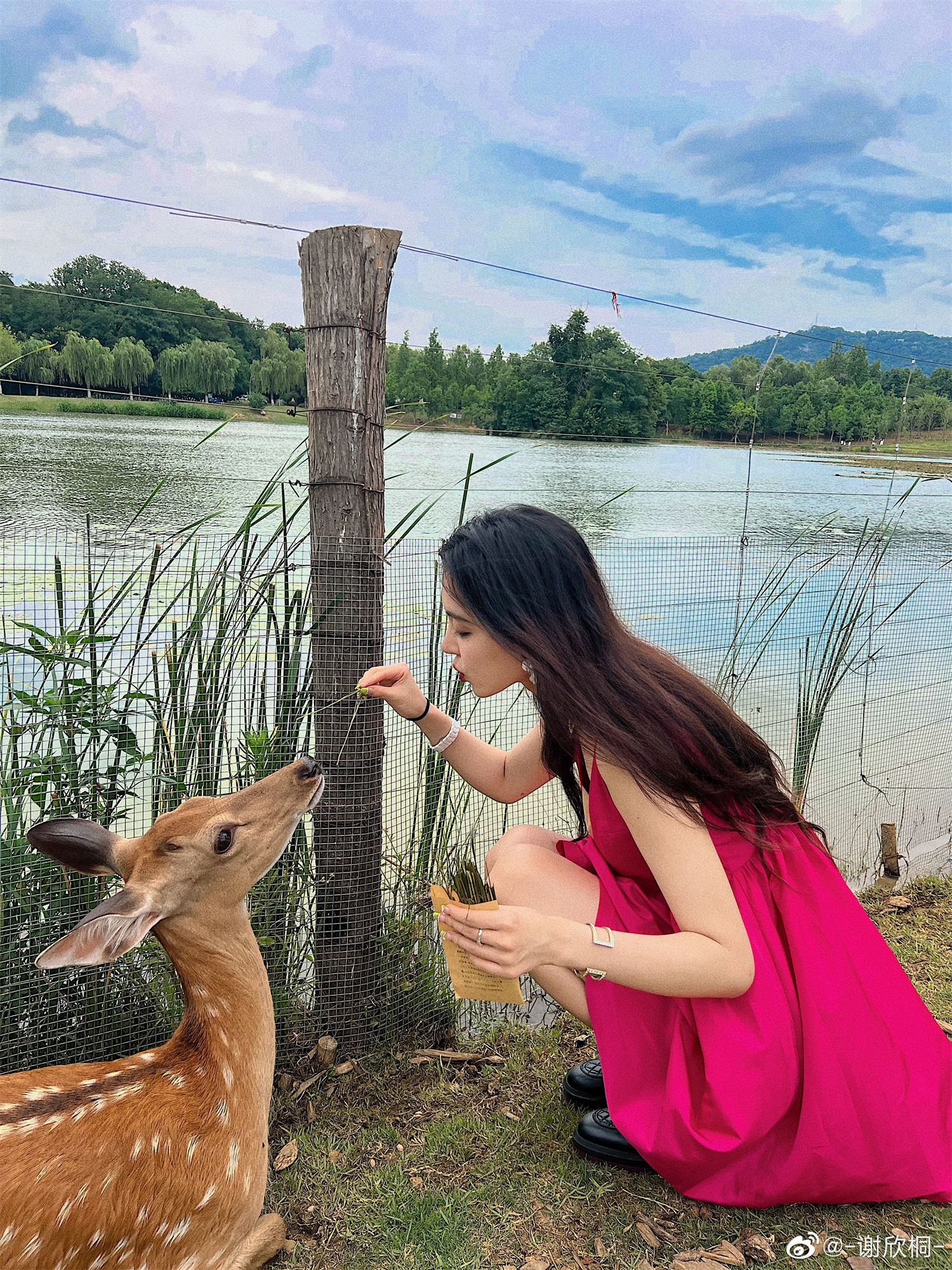 图片[2]-揭秘谢欣桐美妆博主的生活：资料与感情大公开-清美唯艺
