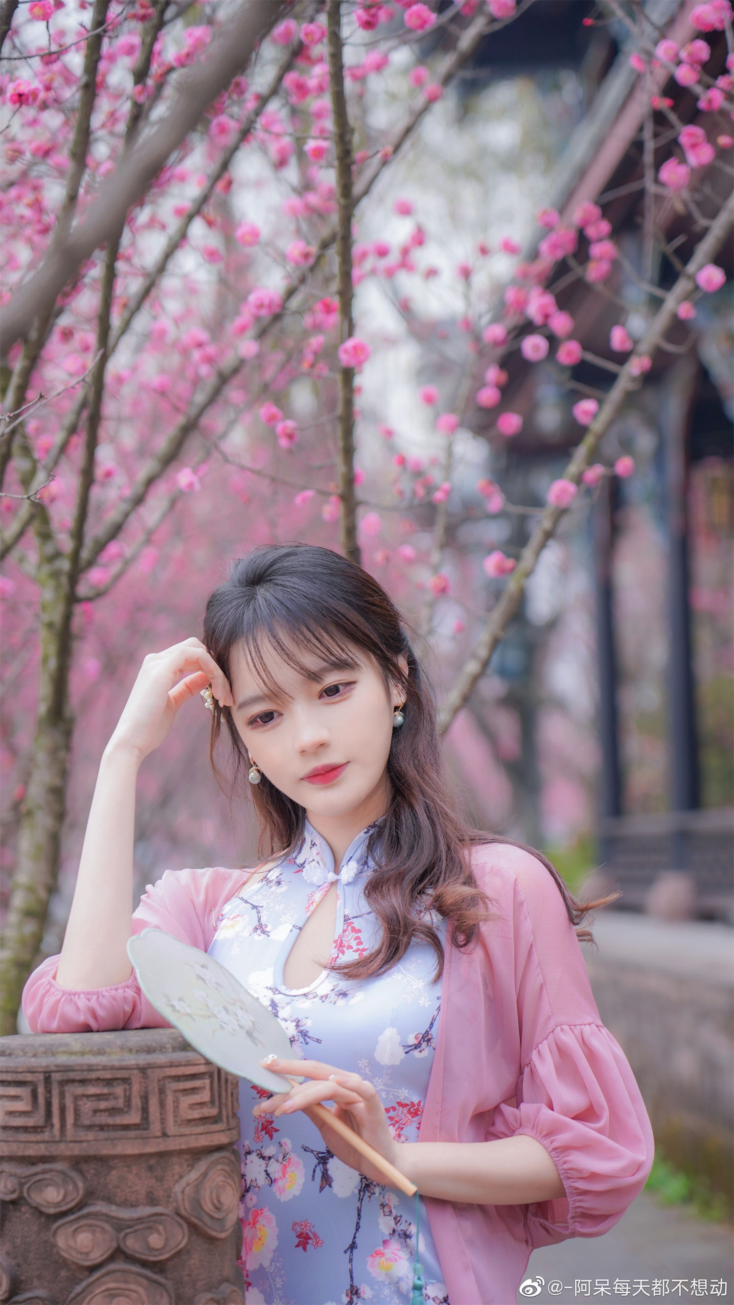 图片[5]-揭开阿呆的真实身高秘密：为何他每天都懒得活动？美图欣赏-清美唯艺