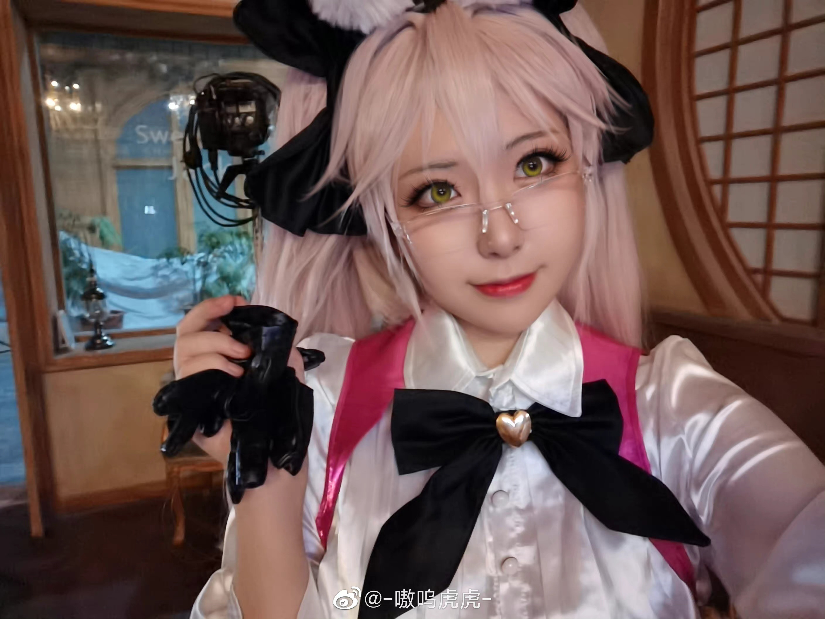 嗷呜虎虎：揭秘野生猫科动物的狮子与小猫咪的不同之处-清美唯艺