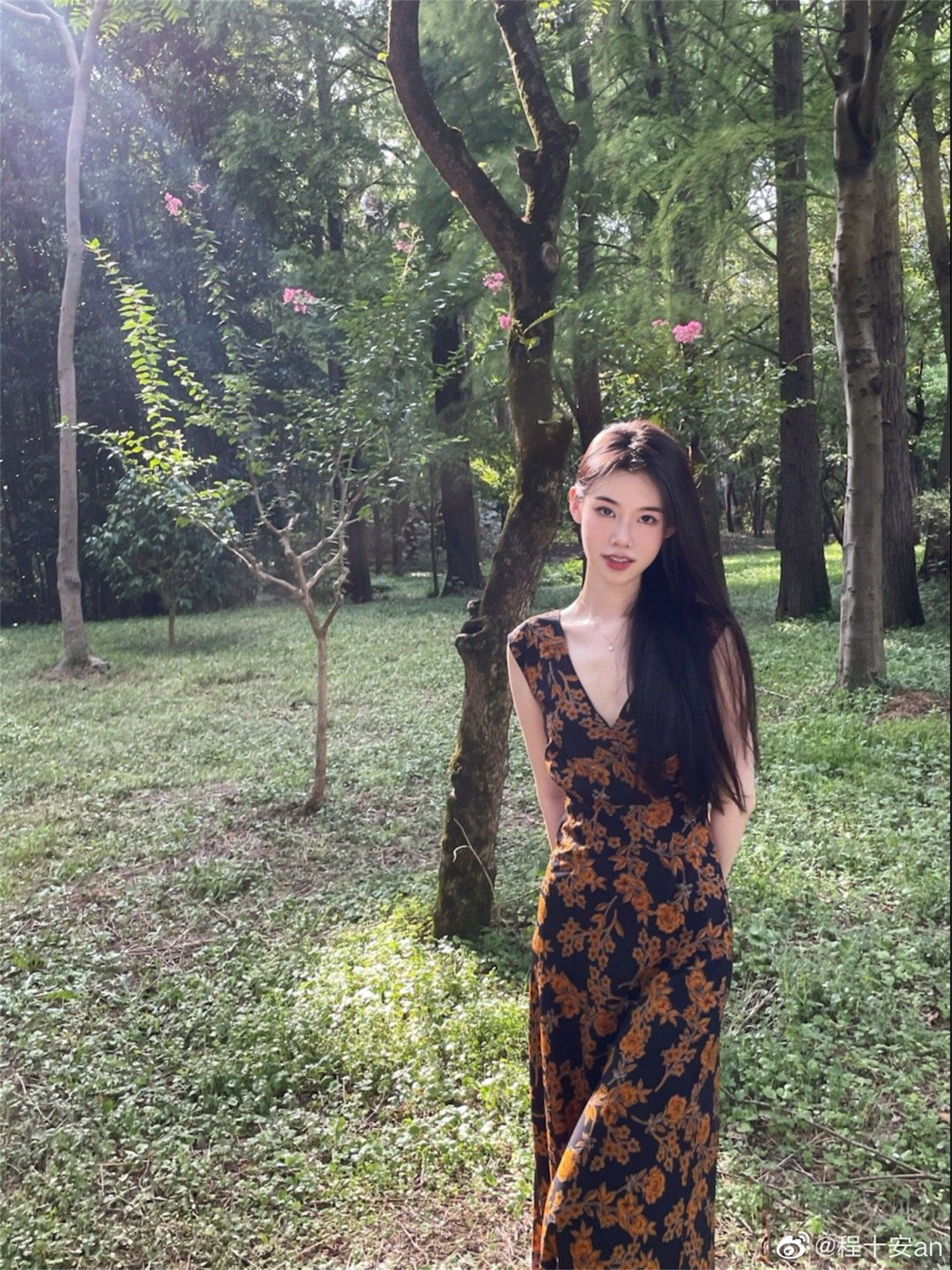 图片[5]-程十安的背景简介及其故乡探究-清美唯艺