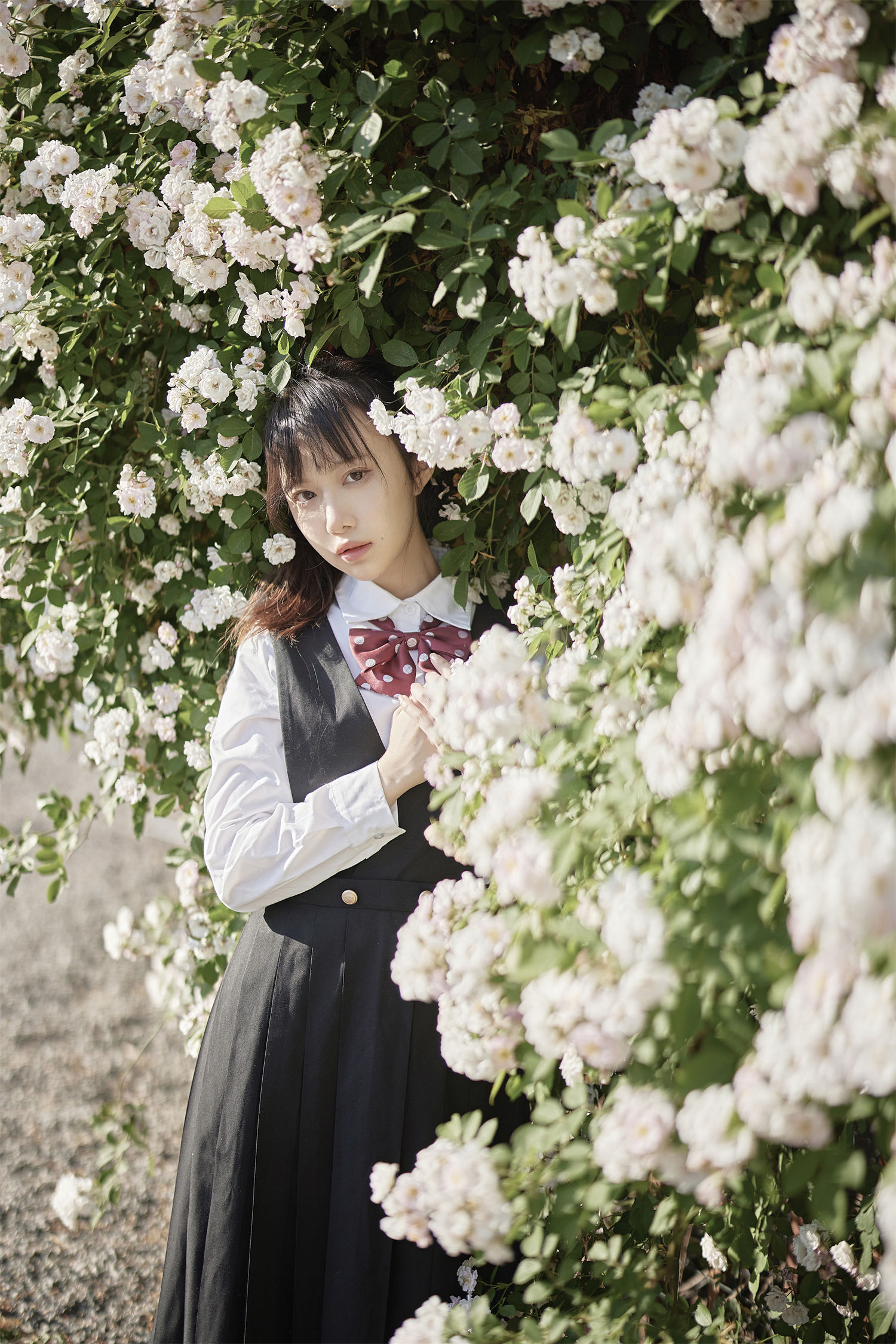 图片[4]-Shika 小鹿鹿的微博春日蔷薇JK风格照片揭秘-清美唯艺