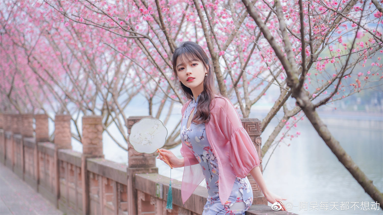 图片[3]-揭开阿呆的真实身高秘密：为何他每天都懒得活动？美图欣赏-清美唯艺