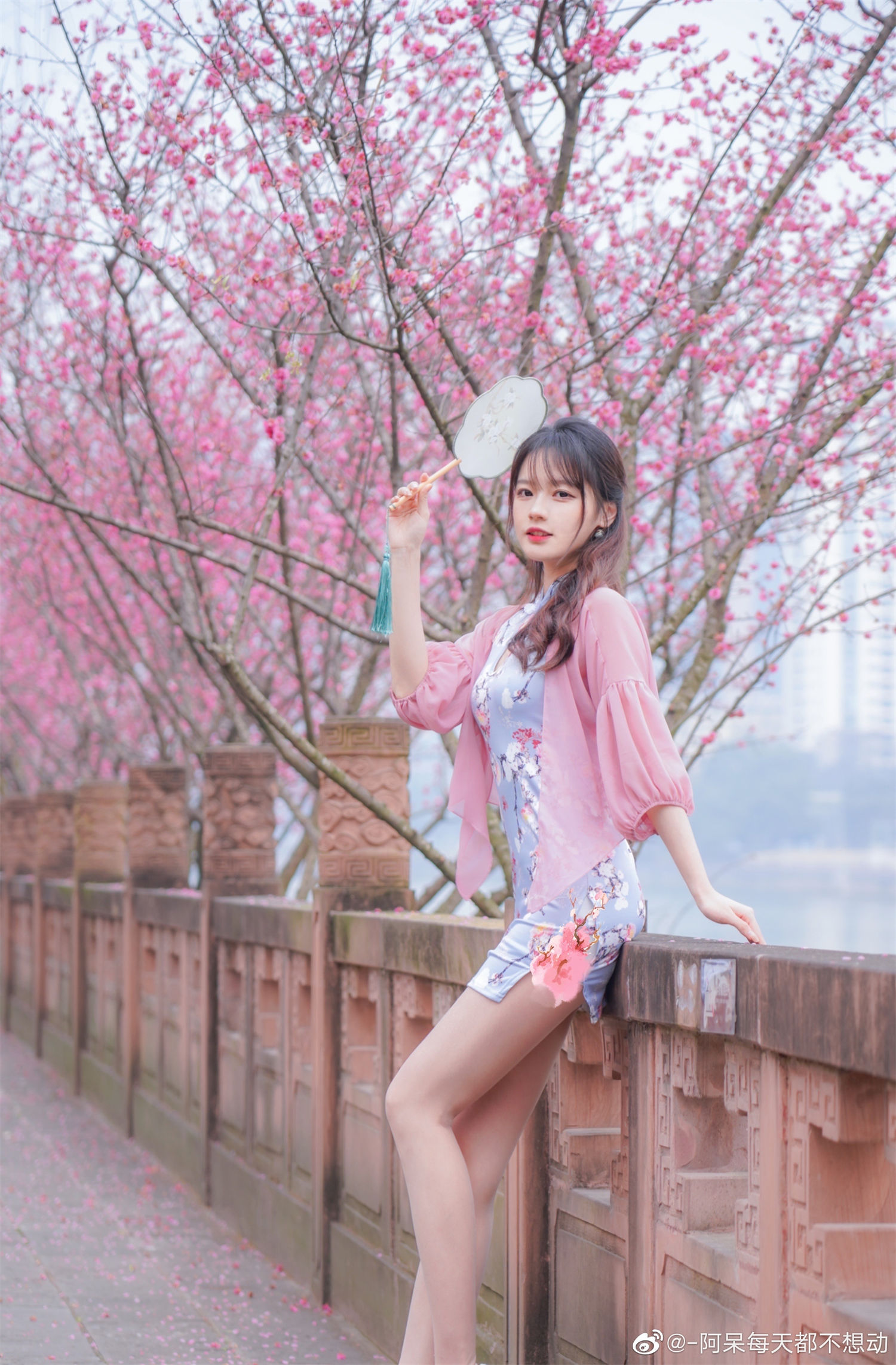 图片[4]-揭开阿呆的真实身高秘密：为何他每天都懒得活动？美图欣赏-清美唯艺