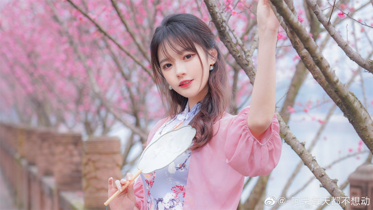 揭开阿呆的真实身高秘密：为何他每天都懒得活动？美图欣赏-清美唯艺