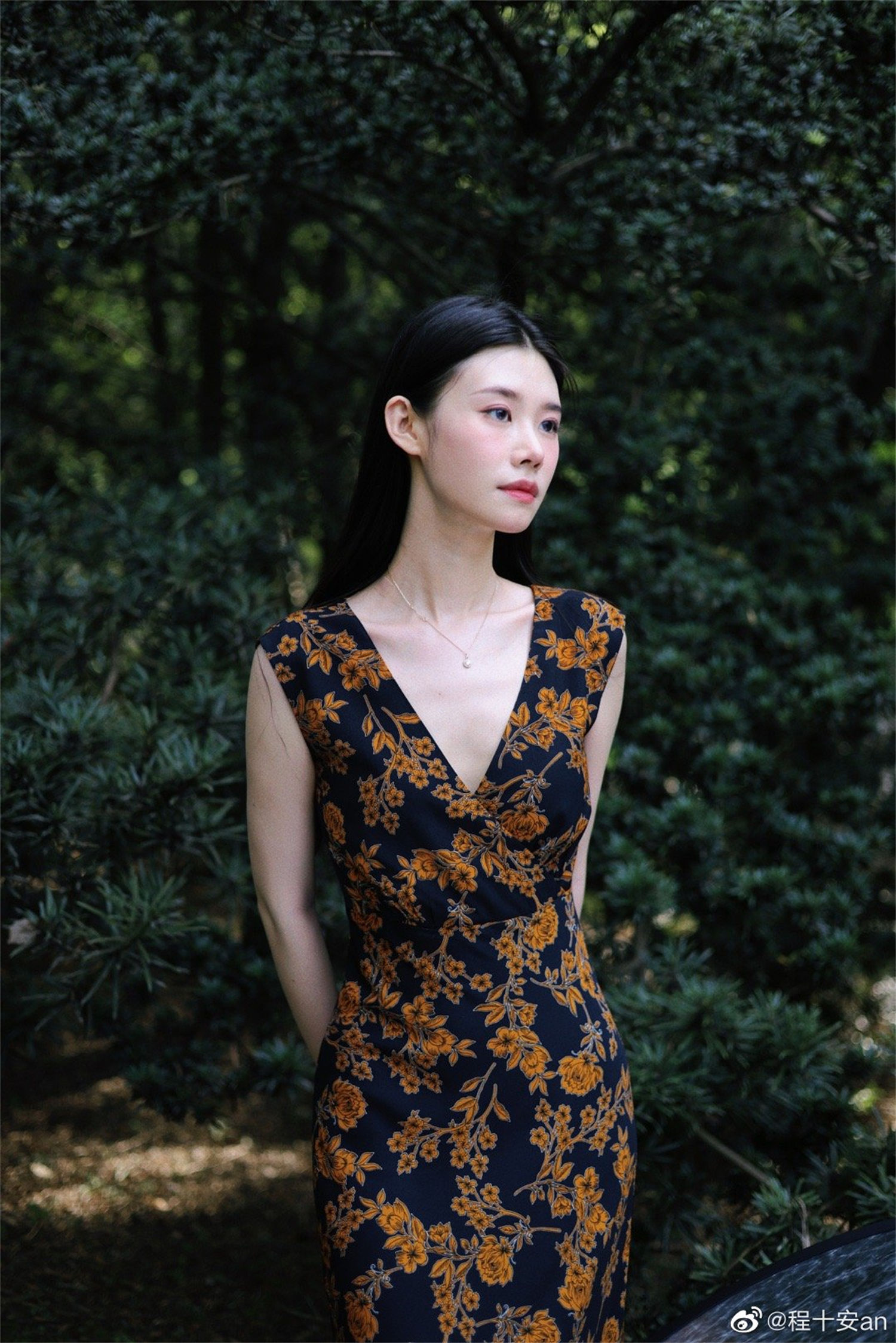程十安的背景简介及其故乡探究-清美唯艺