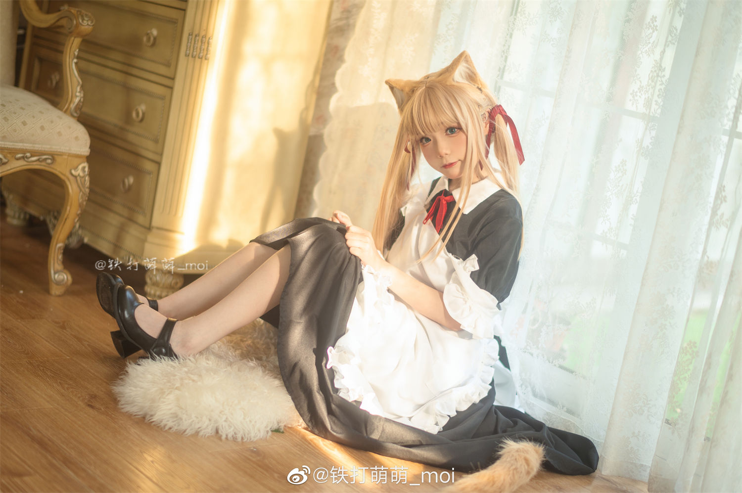 图片[2]-萌宠新视界：揭晓猫系女仆与王胖胖之间的神秘联系-清美唯艺