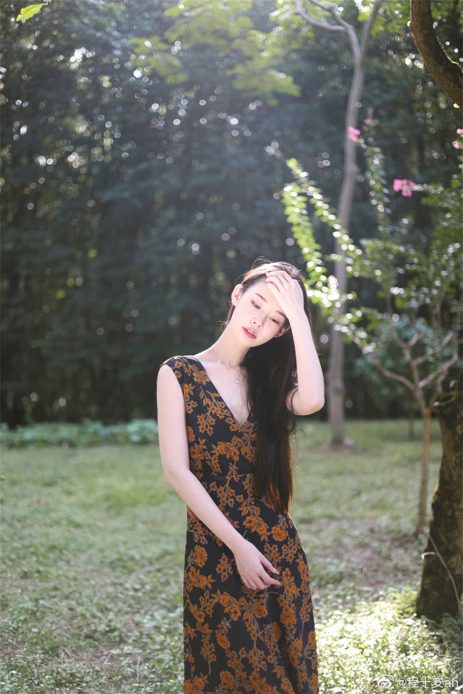 图片[3]-程十安的背景简介及其故乡探究-清美唯艺