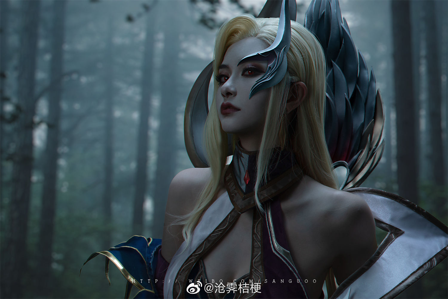 图片[4]-沧霁桔梗事件背后的涵义及其微博相册赏析指南-清美唯艺