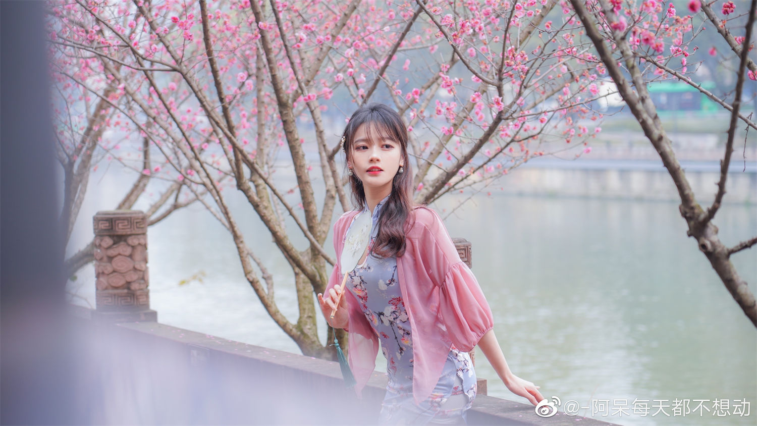 图片[2]-揭开阿呆的真实身高秘密：为何他每天都懒得活动？美图欣赏-清美唯艺